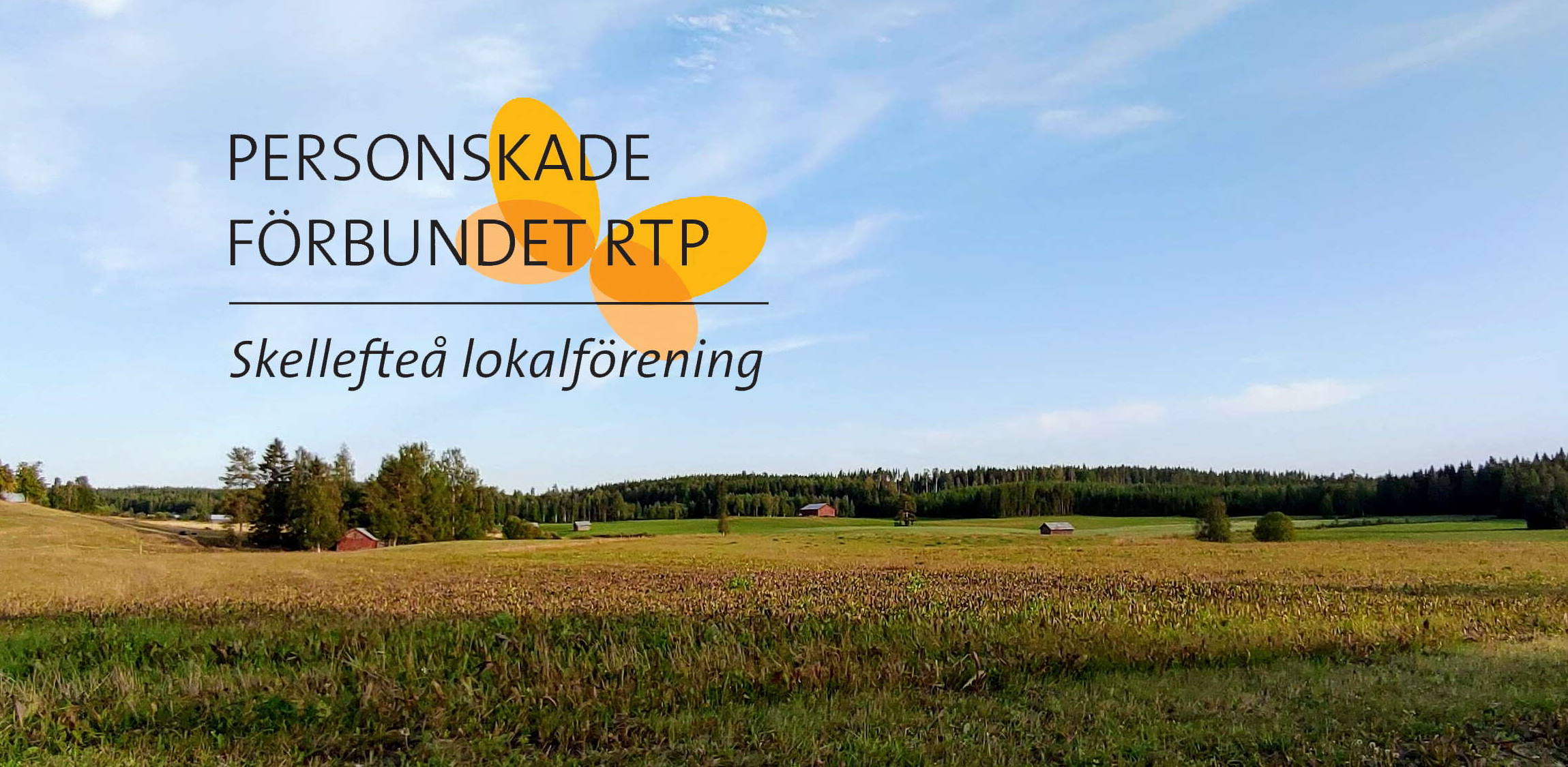 bildmedloga_skellefteå