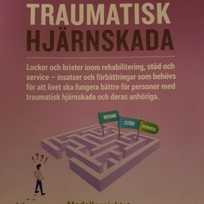 Örnsköldsviks lokalförening 2021.Att-leva-med-en-traumatisk-hjärnskada-768×1024