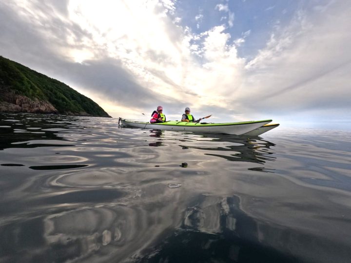 NV Skåne 2025.1000015194b