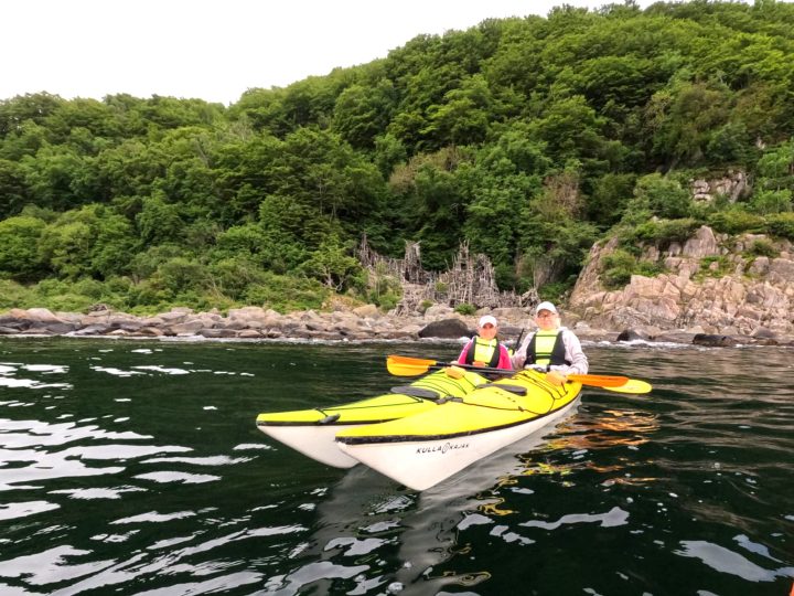 NV Skåne 2025.1000015199b