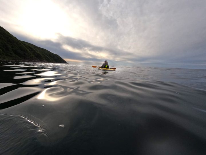 NV Skåne 2025.1000015210b