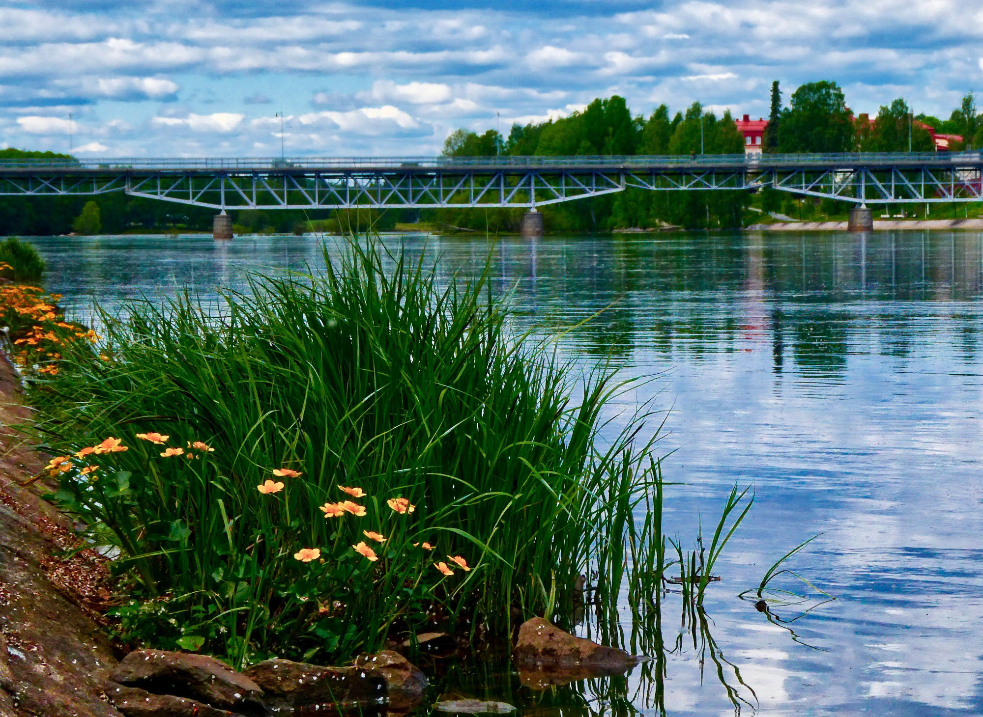 Parkbron Skellefteå