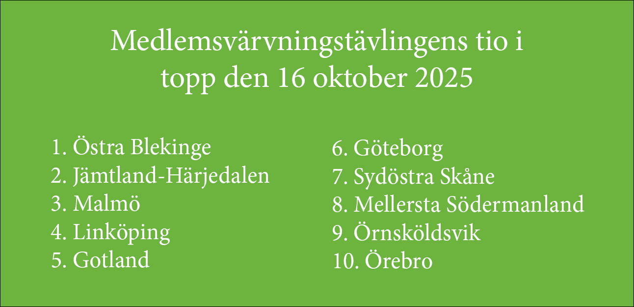 Medlemstävling 10 i topp LF 2025-10-15
