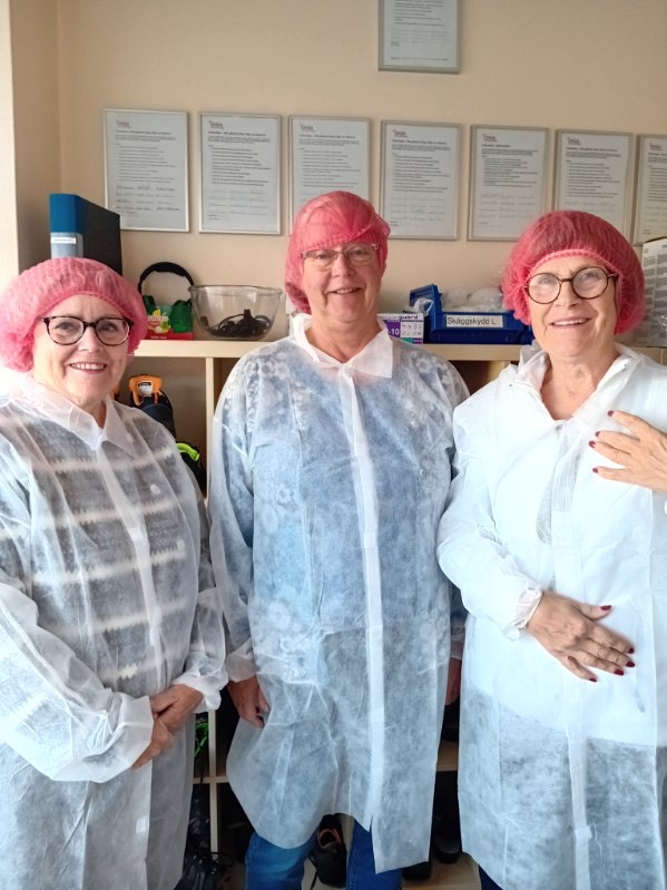 Bleking östra Orkla3