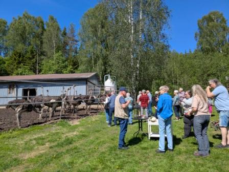 Örnsköldsvik utflykt med Umeå RTP 2