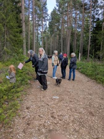 Örnsköldsvik familjekväll aug 2026