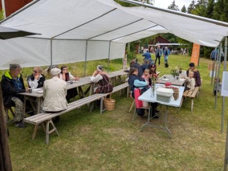 ornskoldsvik-vaffler-i-anundsjo5