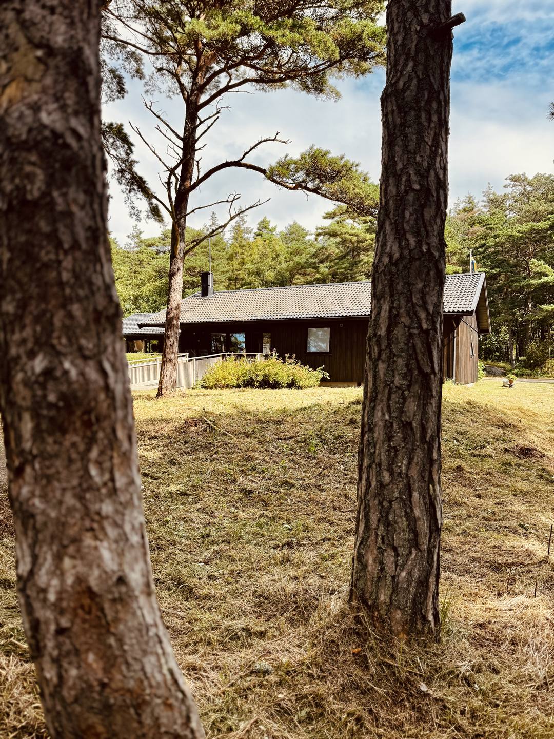 Naturreservatet